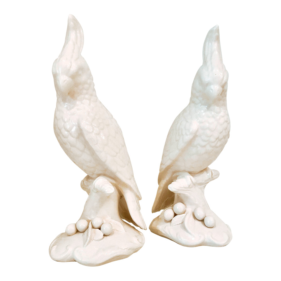 Small White Cockatoos